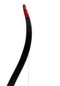 Arco ricurvo Ragim Wildcat 48 pollici 24 libbre junior