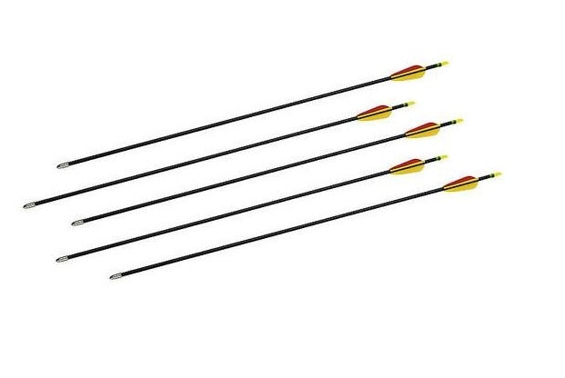 5x sport arrow fiberglass arrow, 30 inch, EZ-POELONG with tip, youth