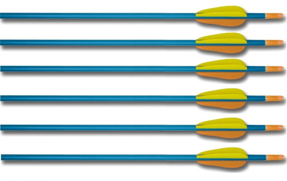 6x Alu-Pfeil für Bogensport Big Archery 19 Zoll Sportpfeil Bogenschießen