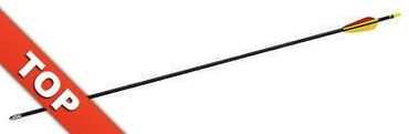 Sport arrow, fiberglass, arrow with metal tip