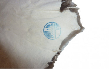 Tierfell, Nutria Fell, Pelz vom Nutria, Bastelfell