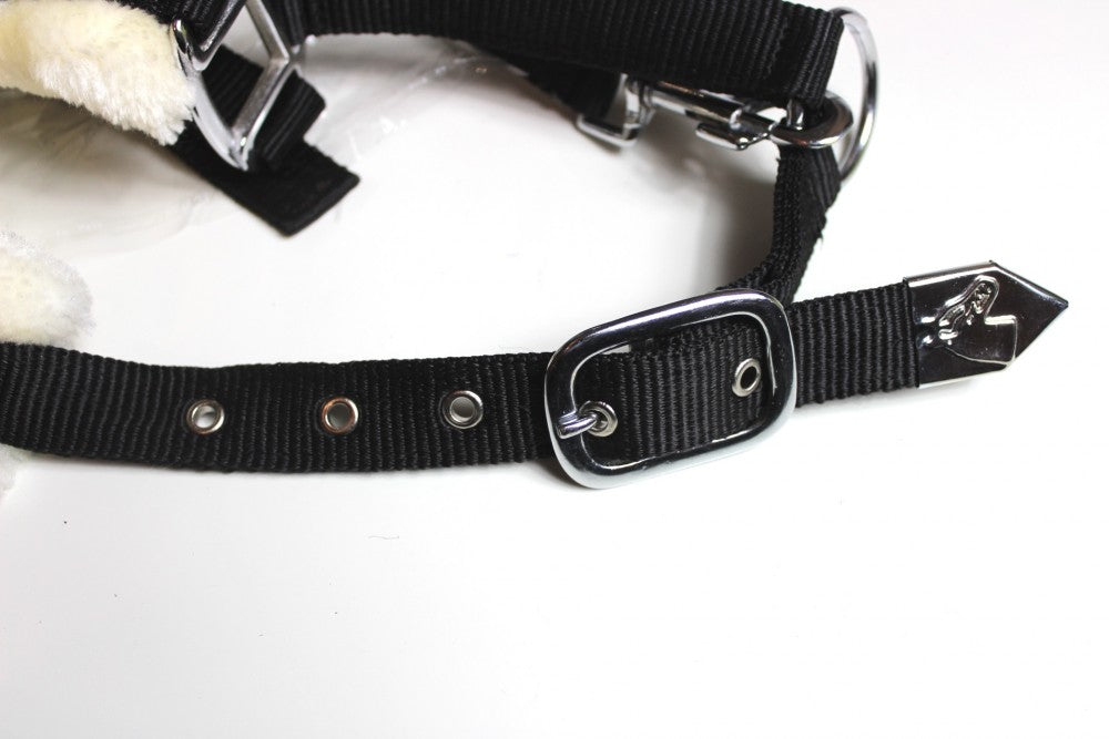 Nylonhalfter Pidero Serie 03 Nylon versch. Größen