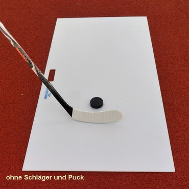 Hockey Shooting pad pro 146x73