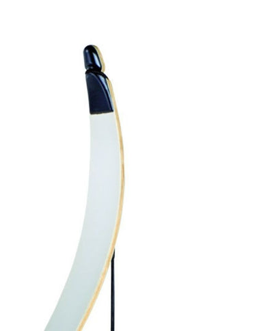 Sport bow Wildcat Ragim, 36 lbs, 70 inch, bow and arrow, TD recurve bow