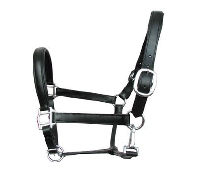 Leather halter pidero series 18 padded different sizes