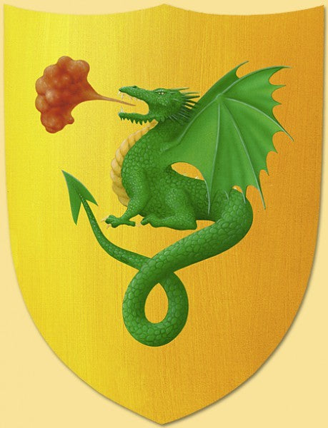 Shield, knight's shield, wooden shield for children's dragon, yellow/green