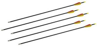 5x sport arrow fiberglass arrow, 28 inches, Bignami Italy with tip, youth