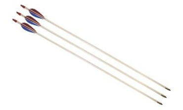 Sports arrow 70 cm, 27 inches for bow and arrow, archery