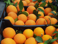 5 kg table oranges | Noelia oranges from Spain natural | directly from the producer