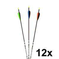12x Penthalon slim line black carbon arrow 32 Bearpaw Spine 400-1000