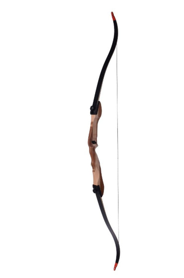 Recurve bow, sports bow Take Down Field Star Bearpaw youth bow 62 inches 26lbs