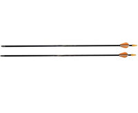 BEAR sports bow SET for children, scout bow, bow and arrow 13 lbs
