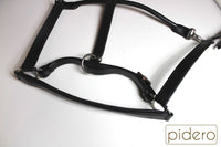 Leather halter pidero series 18 padded different sizes