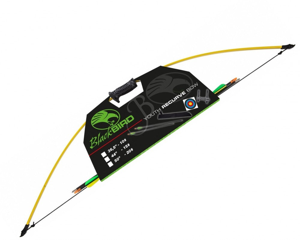 Blackbird sports bow for children Bow and arrow with arm protection, quiver 15 lbs