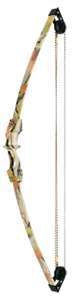 Compound bow youth, bow and arrow with quiver, arrows
